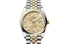 Oyster, 36 mm, Oystersteel and yellow gold