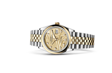 Oyster, 36 mm, Oystersteel and yellow gold