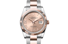 Oyster, 36 mm, Oystersteel and Everose gold