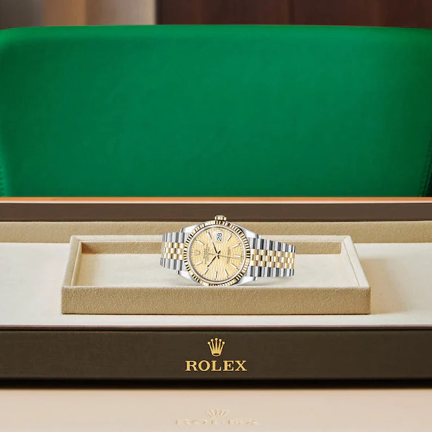 Oyster, 36 mm, Oystersteel and yellow gold