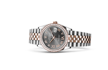Oyster, 36 mm, Oystersteel, Everose gold and diamonds