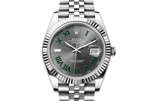 Oyster, 41 mm, Oystersteel and white gold