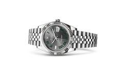 Oyster, 41 mm, Oystersteel and white gold