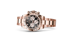 Oyster, 40 mm, Everose gold