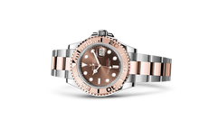 Oyster, 40 mm, Oystersteel and Everose gold