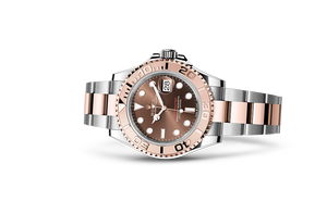 Oyster, 40 mm, Oystersteel and Everose gold