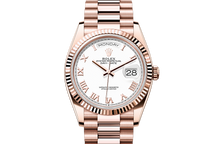 Oyster, 36 mm, Everose gold