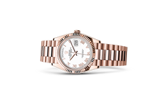 Oyster, 36 mm, Everose gold