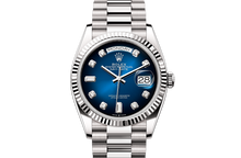 Oyster, 36 mm, white gold