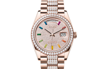 Oyster, 36 mm, Everose gold and diamonds