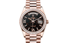 Oyster, 36 mm, Everose gold and diamonds