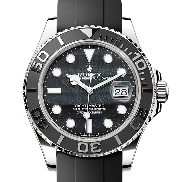 Yacht 2025 master alternative