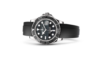 Oyster, 42 mm, white gold