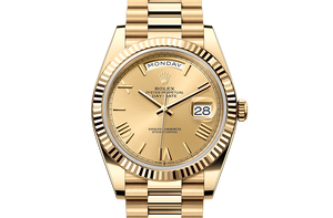 Oyster, 40 mm, yellow gold