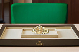 Oyster, 40 mm, yellow gold