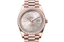 Oyster, 40 mm, Everose gold and diamonds