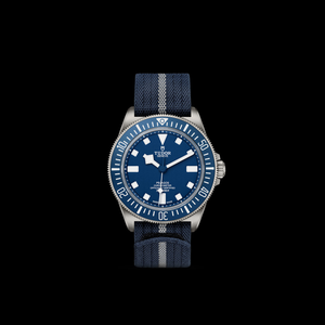 Tudor Pelagos FHD
