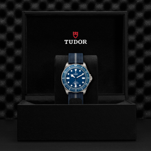 Tudor Pelagos FHD