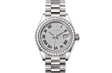 Oyster, 28 mm, white gold and diamonds