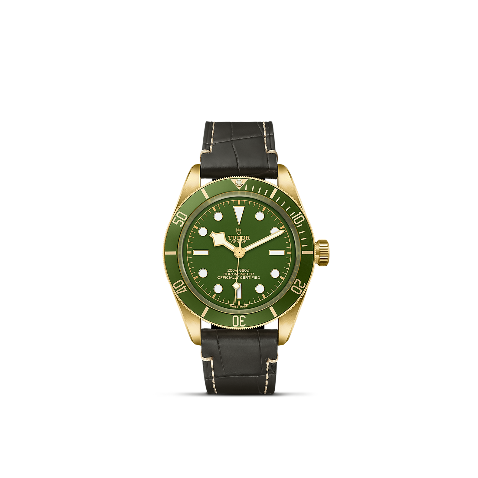 Tudor Black Bay 58 18k H.L. Gross
