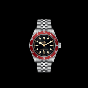 Tudor Black Bay