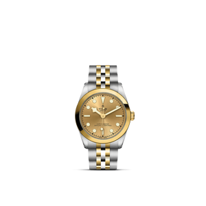 Tudor Black Bay 31 S&G