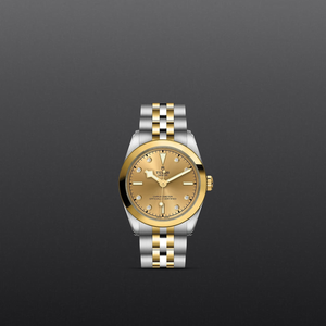 Tudor Black Bay 31 S&G