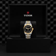 Tudor Black Bay 36 S&G