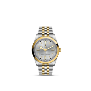 Tudor Black Bay 36 S&G