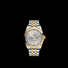 Tudor Black Bay 36 S&G