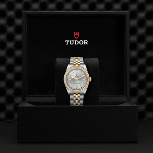 Tudor Black Bay 36 S&G
