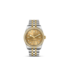 Tudor Black Bay 36 S&G