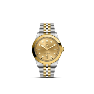 Tudor Black Bay 39 S&G