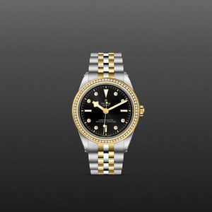 Tudor Black Bay 39 S&G