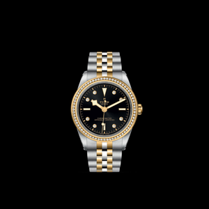 Tudor Black Bay 39 S&G