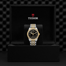 Tudor Black Bay 39 S&G
