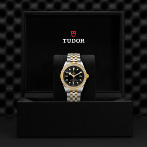 Tudor Black Bay 39 S&G