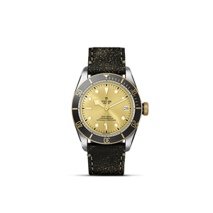 Tudor Black Bay S&G