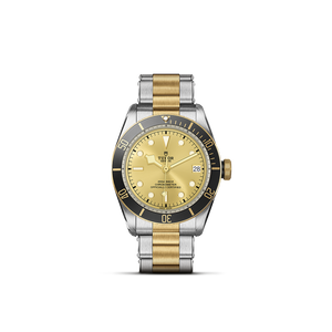 Tudor Black Bay S&G