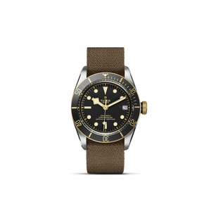 Tudor Black Bay S&G