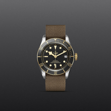 Tudor Black Bay S&G