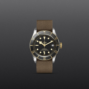 Tudor Black Bay S&G