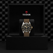 Tudor Black Bay S&G