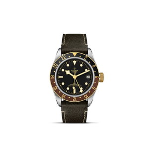 Tudor Black Bay GMT S&G
