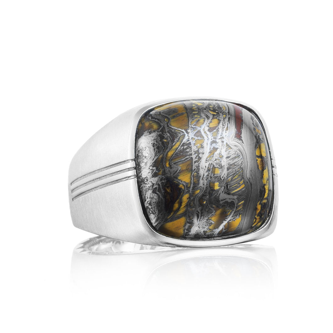 Leave a stylish impression with this Tiger Iron gemstone and brushe...
